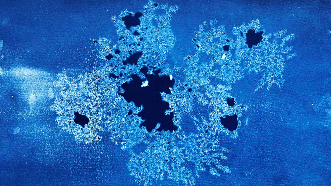 Light used as a drawing material - a cyanotype print that captures sunlight comping through the paper's pores. The abstract image is in shades of blue.